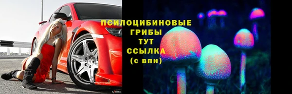 мяу мяу мука Алексин