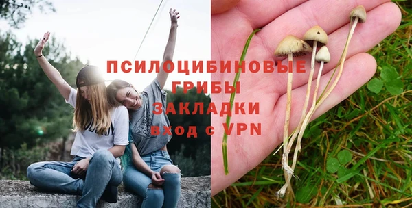 амфетамин Алексеевка