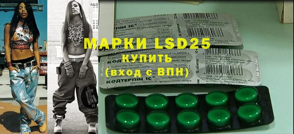 ГАЛЛЮЦИНОГЕННЫЕ ГРИБЫ Вязники