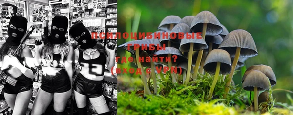 гидропоника Алзамай