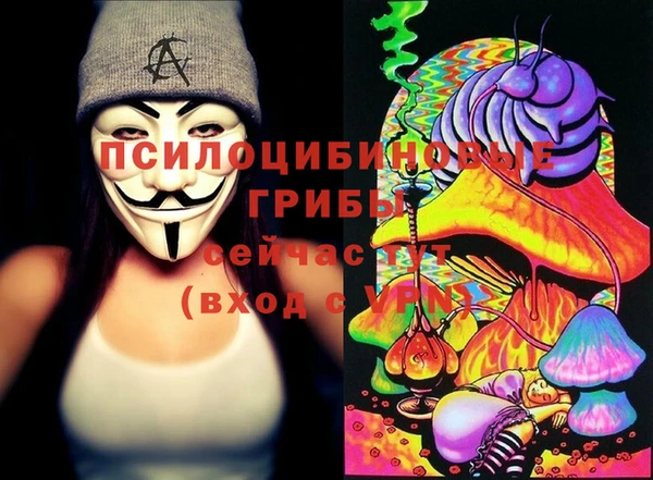 мяу мяу мука Алексин